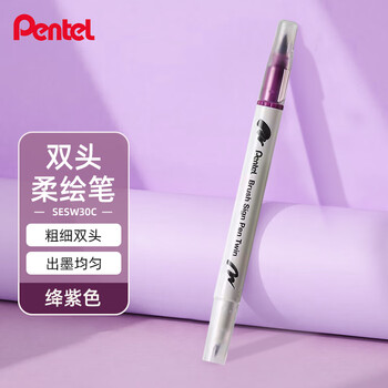 派通（Pentel ）双头柔绘笔软头手账笔学生马克笔彩绘绘画笔花体英文素材美术动漫水彩SESW30C-T120E绛紫色水彩笔
