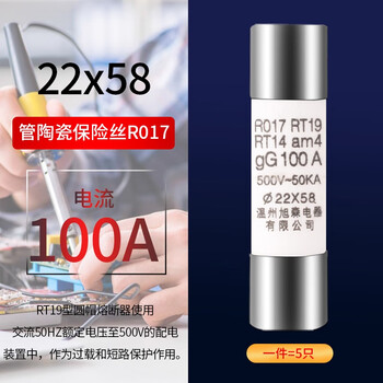 ZAVE 熔断器陶瓷保险丝管 R017 22*58 100A（5只）