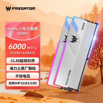 宏碁掠夺者（PREDATOR）32G(16G×2)套装 DDR5 6000频率 台式机内存条 Vesta II 炫光星舰RGB灯条(C30) 星光银 AI电脑配件