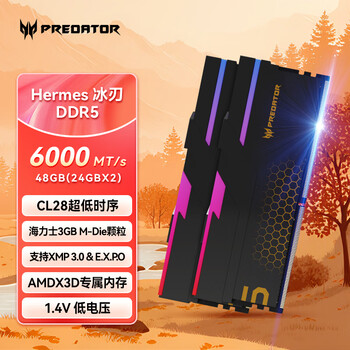 宏碁掠夺者（PREDATOR）48G(24G×2)套装 DDR5 6000频率 台式机内存条 Hermes冰刃系列 RGB灯条(C28) 石耀黑 AI电脑配件