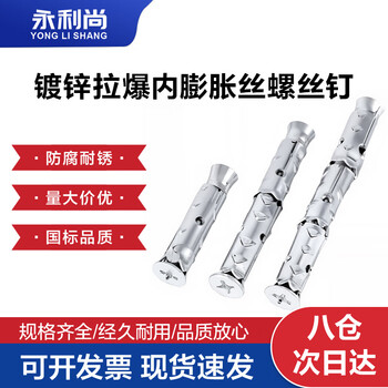 永利尚镀锌拉爆内外膨胀丝螺丝钉爆炸螺钉 内膨胀6*60（10个 