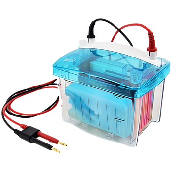 六一牌（LY） 双板垂直电泳仪DYCZ-MINI2 迷你型2板琼脂糖凝胶电泳槽实验室器材制备分析鉴定DNA及测定分子电泳设备