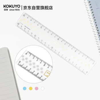 国誉淡彩曲奇亚克力高考透明直尺20cm 210*40*2.5mm颜色随机1个装 WSG-CLC20