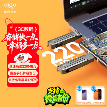 爱国者（aigo）64GB Type-C USB3.2高速U盘 W381 读速220MB/s手机电脑两用商务办公U盘 旅行随身携带优盘 行者灰