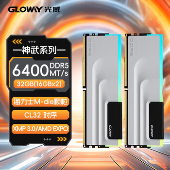 光威(Gloway)32GB(16GBx2) DDR5 6400 台式机内存条 神武 RGB灯条 海力士M-die CL32 太空灰