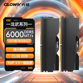 光威（Gloway）32GB(16GBX2) DDR5 6000 台式机内存条 龙武 马甲条 镁光颗粒 CL38 星空黑