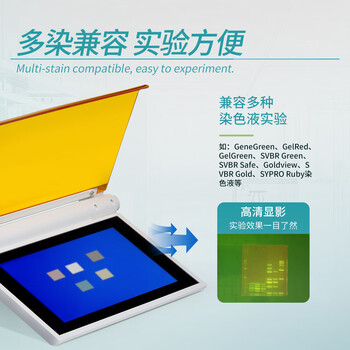 BKMAMLAB 磁力搅拌器实验室小型数显可调速电磁搅拌机【MS-2L】