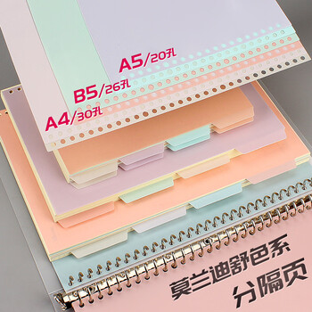 文谷（Wengu）A5分页纸20孔分类标签笔记本记事本隔页纸索引纸 手账替芯活页纸塑料通用有孔4张每包A5-4P