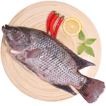 仙泉湖(活杀)生态三去鲷鱼/海罗非(cnas认证)去鳞去鳃去内脏 500g