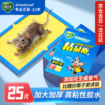 绿叶（Green Leaf）粘鼠板25片装强效胶粘老鼠板小超人老鼠贴