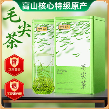 贡苑 绿茶特级毛尖茶叶250g新茶明前嫩芽正宗栗香信阳口感自己喝