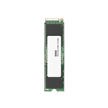 Lexar E100 2TB SSD固态硬盘 读速5000MB/s M.2接口（NVMe PCIe4.0*4）