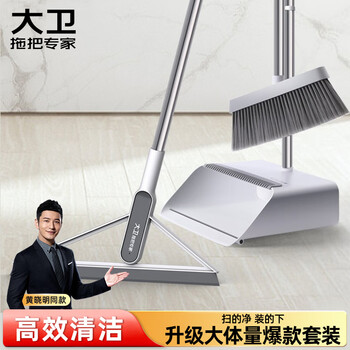 大卫扫把簸箕组合套装扫地扫帚刮水器大号套装F2+F6