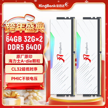 金百达（KINGBANK）64GB(32GBX2)套装 DDR5 6400 台式机内存条海力士A-die颗粒 白刃RGB灯条 C32 Deepseek硬件