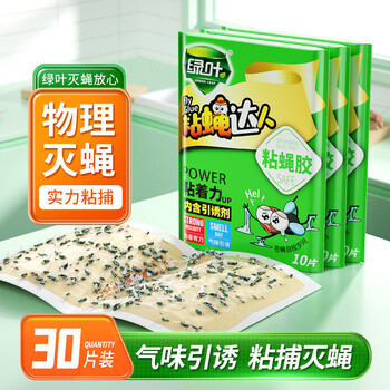 绿叶（Green Leaf）苍蝇粘板30片装粘蝇达人胶粘蝇板灭蝇子粘板