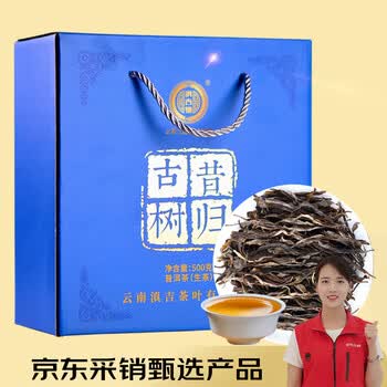 滇吉號茶叶普洱生茶2024年昔归古树散茶兰香回甘500克
