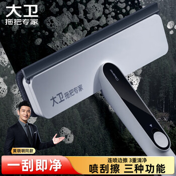 大卫擦窗器家用洗刮水器板双面擦窗户工具三重清洁擦玻璃神器S10