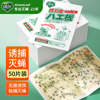 绿叶（Green Leaf）粘蝇纸50片装灭苍蝇器粘蝇胶灭苍蝇粘板