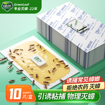绿叶蟑螂粘板捕蟑螂屋10片/盒新配方引诱剂2130ZZ