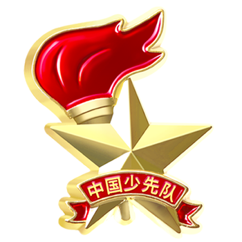 优和（UHOO）标准款队徽京东自营校徽小学生磁扣别针立体款火炬队徽 别针扣6个装0898