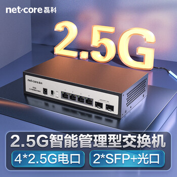 磊科（netcore）GS6 6口网管型2.5G交换机 4个2.5G电口+2个万兆SFP光口 千兆网络分线器 支持vlan链路聚合/NAS光猫