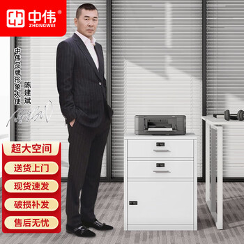 中伟（ZHONGWEI）钢制矮柜办公柜活动柜资料档案柜桌下柜密码锁储物柜二斗白色加厚