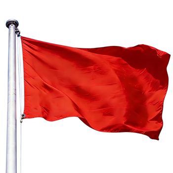 易利丰（elifo）加厚空白红旗旗帜外挂彩旗红色旗子小大红旗户外不带杆纯红旗手持纯色空白旗布团建运动会表演出用