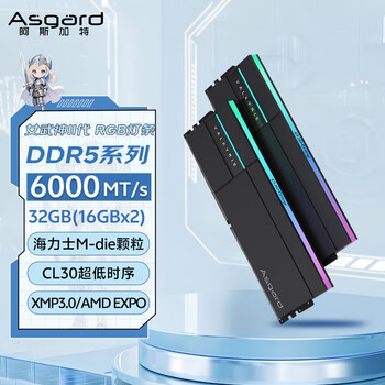 阿斯加特（Asgard）32GB(16GBx2) DDR5 6000 台式机内存条 女武神·瓦尔基里II代 RGB灯条 海力士M-die CL30 极夜黑