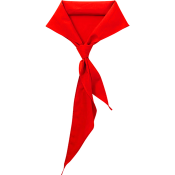 优和（UHOO）【开学文具】红领巾小学生国标1米涤纶京东自营 10条+送1条红领巾批发学生用品0253