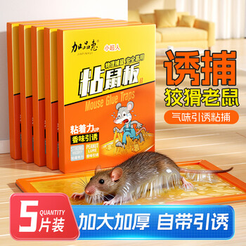 加品惠粘鼠板5张装强效加厚灭鼠黏鼠贴捉捕老鼠贴花生香味