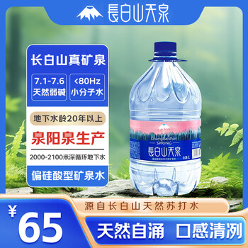 长白山天泉 偏硅酸型天然矿泉水 （泉阳泉生产） 天然弱碱性矿泉水 5L*4桶