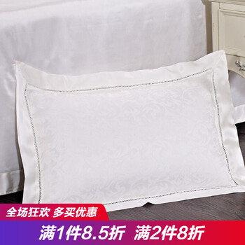 
                                                            丝煌提花真丝枕套100%桑蚕丝19姆米加厚枕头套单人 引领时尚白1489 一只48x74cm                