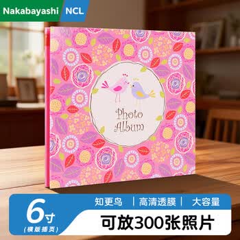 Nakabayashi仲林NCL相册6寸300张纪念册插页式影集NBP-300-2F 知更鸟300张