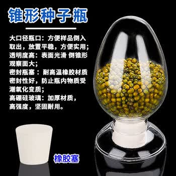 六鑫种子瓶250ml高硼硅玻璃锥形瓶初中实验专用实验室器材透明科学实验玻璃瓶器材套装种子电学