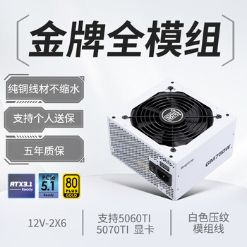 鑫谷(segotep)GM750W ATX3.1金牌全模组冰山版电源(12V-2X6支持5060Ti/5070Ti显卡/白色线材/台式电脑主机箱)