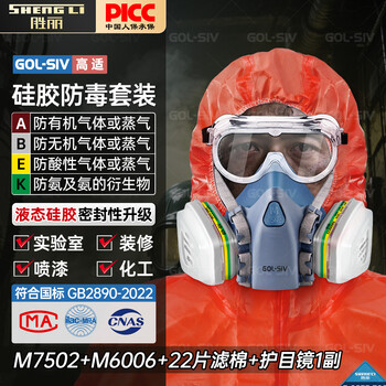 胜丽 M7502防毒面具口罩 防有机蒸气及多种气体 喷漆装修实验室 硅胶款 配M6006