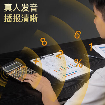 齐心大屏语音计算器12位真人语音播报 大号 财务办公用品33560 金EC-1382