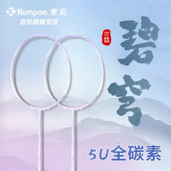 薰风羽毛球拍全碳素超轻熏风全能型球拍 碧穹 5U 白/紫 空拍