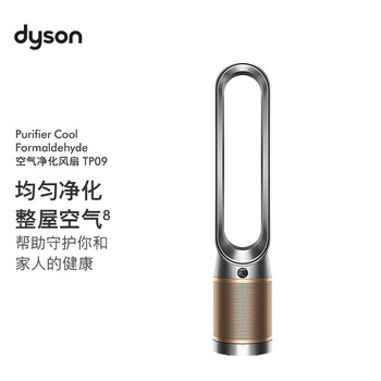 戴森（DYSON）TP09空气净化风扇 净化循环二合一 过滤病毒 除PM2.5 除过敏原过滤花粉 宠物毛发 黑金色