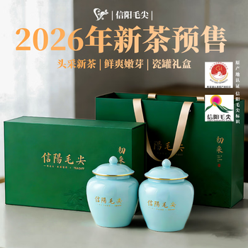 双碑绿茶信阳毛尖250g2026年新茶明前正宗茶叶瓷罐礼盒装送礼送人长辈
