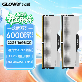 光威（Gloway）32GB(16GBx2) DDR5 6000 台式机内存条 龙武 马甲条 海力士A-die CL28 深空银【部分兼容】