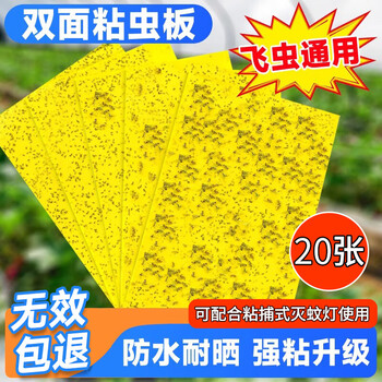 光多拉苍蝇贴灭蝇纸20张黄板诱虫板双面粘虫板果蝇诱捕器苍蝇神器灭蝇器