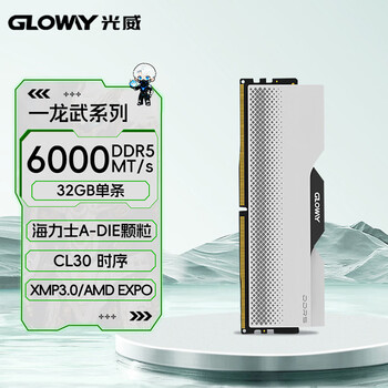 光威（Gloway）32GB DDR5 6000 台式机内存条 龙武 马甲条 海力士A-die CL30 深空银 AI电脑配件升级