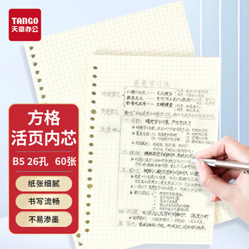 天章 （TANGO）B5活页替芯纸方格款 考研复习错题记录记录网格手账流程图表格 通用26孔可拆卸通用替换芯 60张
