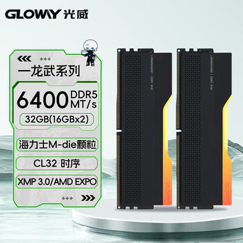 光威（Gloway）32GB(16GBx2) DDR5 6400 台式机内存条 龙武 RGB灯条 海力士M-die CL32 星空黑