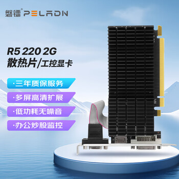 磐镭(PELADN）开天 R5 220 2G D3 家用办公娱乐高清炒股台式机电脑独立显卡