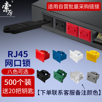 索厉网口锁 可拆卸网口塞/RJ45端口锁/电脑交换机工控机/下单备注颜色500个+20把钥匙【厂家直发】