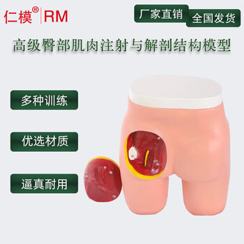 仁模RM/T3高级臀部肌肉注射与解剖结构模型臀部肌肉注射法股外侧肌注射法肌肉注射方法训练模型