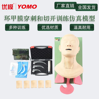 优模环甲膜穿刺和切开训练仿真模型成人男性环甲膜可更换气管演示环甲膜穿刺切开练习模型YOMO/CK1261S
