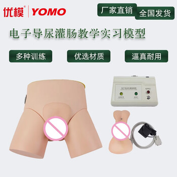 优模 YOMO/D人体导尿灌肠模型男女性别可互换电子模拟教学实习训练模型 高级电子导尿模型 导尿模拟人